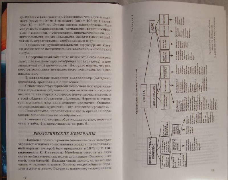 Биология Полный Курс