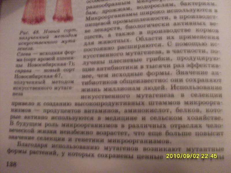 рабочие программы по линии шумного рувинскогопрофильный уровень 10 класс