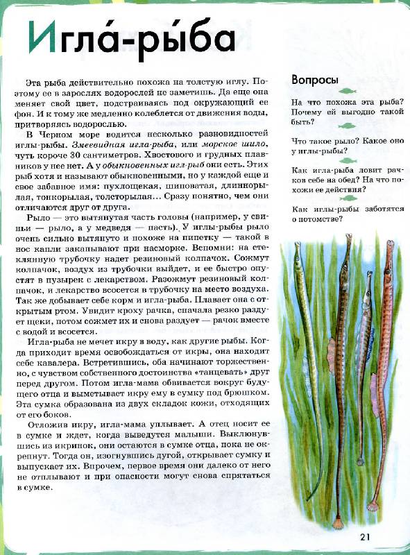Иллюстрация 21 из 35 для Азбука. Рыбы России. Книга для чтения детям - Инна Шустова | Лабиринт - книги. Источник: Росинка