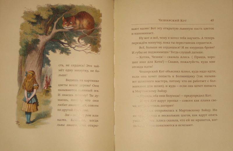 Иллюстрация № 9 к книге