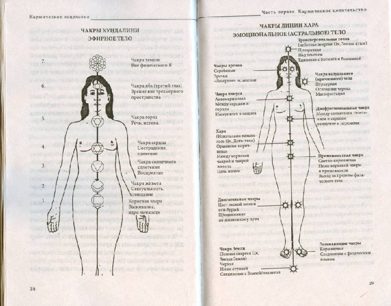 Дайяна Стайн Энергетическая Медицина Для Женщин