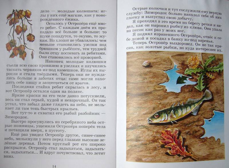 Иллюстрация 9 из 18 для Рыбий дом — Виталий Бианки | Лабиринт — книги. Источник: Челла