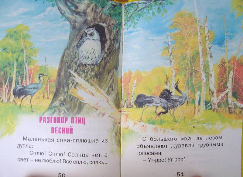 отзыв по рассказу бианки первая охота