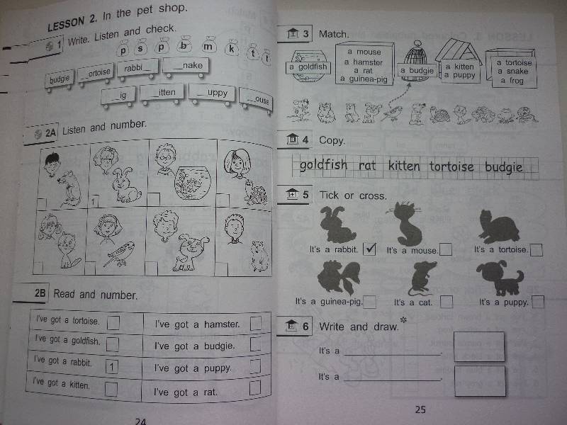 Решебник По Английскому Языку 4 Класс Magic Box 4 Workbook 1 Решебник По Английскому Языку 4 Класс Magic Box 4 Workbook 1
