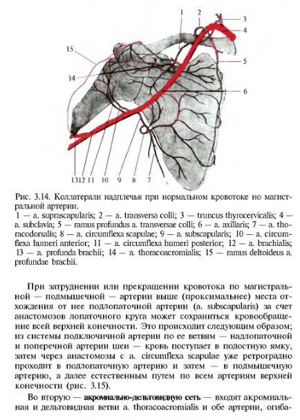 Пользуясь текстом рис 83 и другими рисунками учебника а также экономической картой сша в атласе