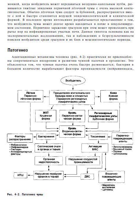 Инфекционные болезни брико. Чума патогенез микробиология. Чума возбудитель патогенез. Патогенез туляремии схема. Патогенез чумы схема.