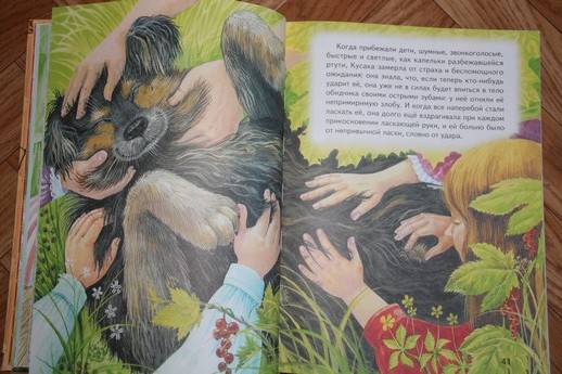 Иллюстрация № 4 к книге