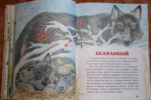 Иллюстрация № 5 к книге