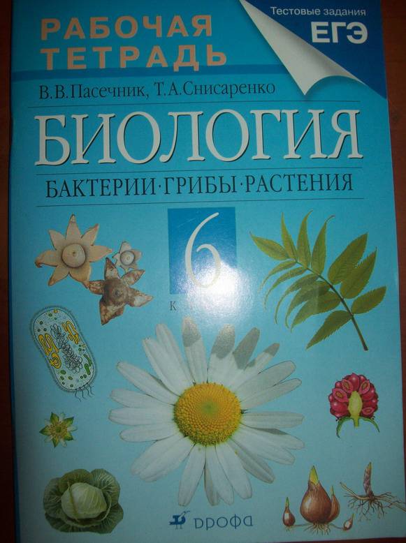 Биология 6 класс пасечник снисаренко