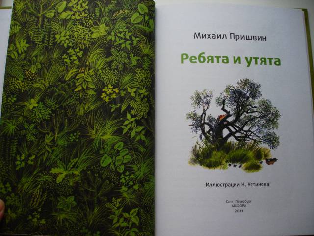 Михаил пришвин ребята и утята картинки