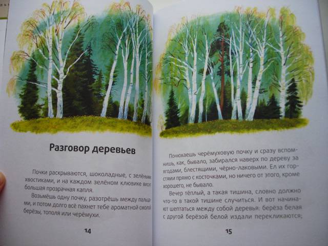Рассказы разговор читать. Михаила Пришвина разговор деревьев. Книга Пришвина разговор деревьев.