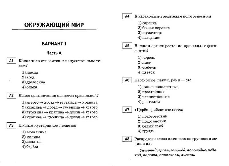 Тест русский язык 3 класс