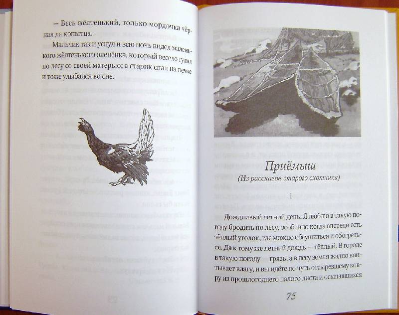 Серый книга читать