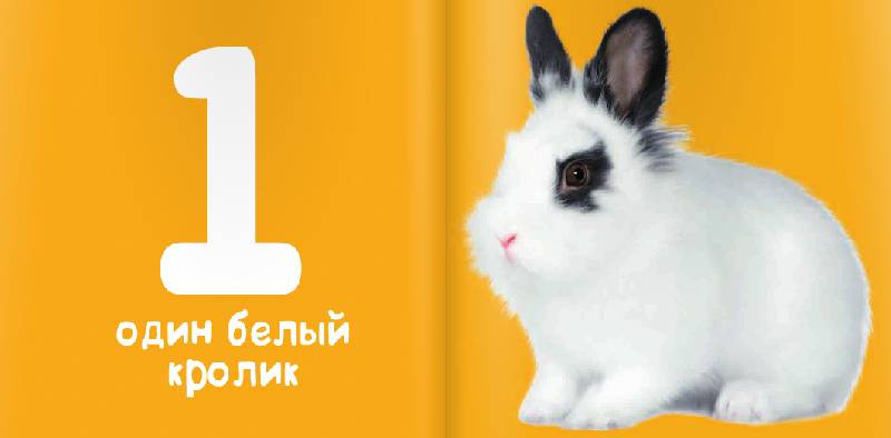 Иллюстрация № 2 к книге