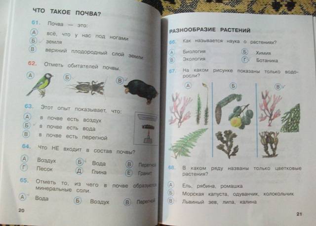 Окружающий мир тесты плешаков. Тест окружающий мир 3 класс Плешаков школа России. Тесты по окружающему 3 класс.