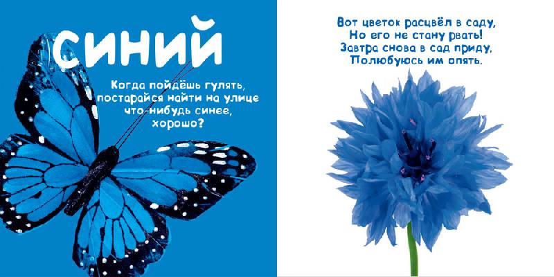 Иллюстрация № 5 к книге