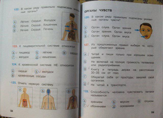 скачать тесты по окружающему миру 3 класс плешаков