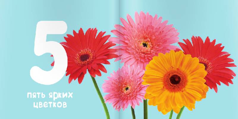 Иллюстрация № 6 к книге