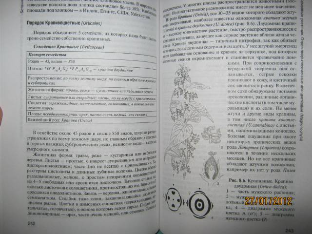 Иллюстрация 14 из 16 для Ботаника. Учебник - Зайчикова, Барабанов ...