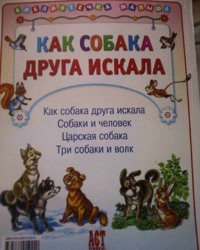 Собака читает книгу картинки