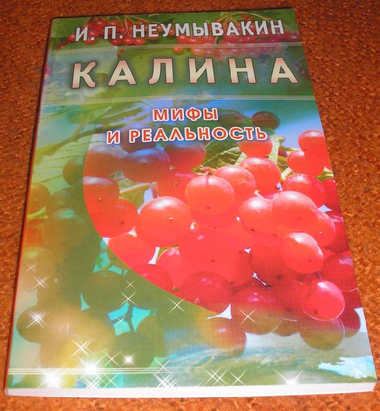 Книга лада калина 1