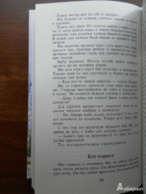 План рассказа стальное колечко паустовский 3 класс