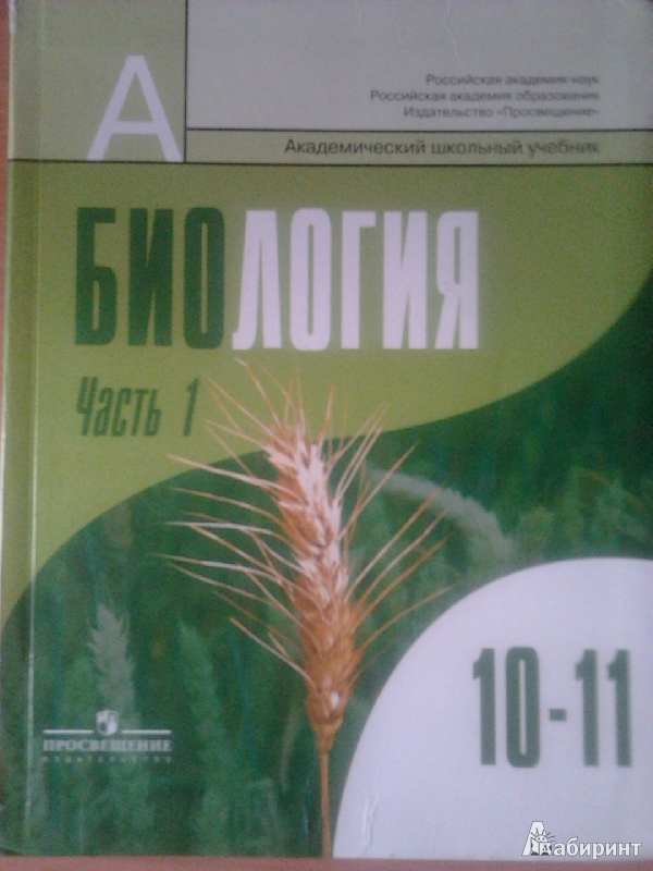 скачать бесплатно и без регистрации рабочую программу по русскому языку для 3 класса по учебнику р.х.ягафарова скачать бесплатно и без регистрации рабочую программу по русскому языку для 3 класса по учебнику р.х.ягафарова