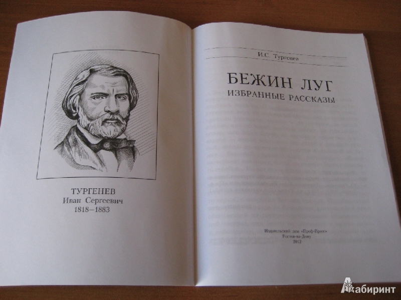 Бежин луг обложка книги картинки