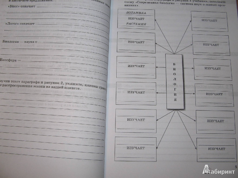 Wwwdrofaru биология 5 класс пасечник