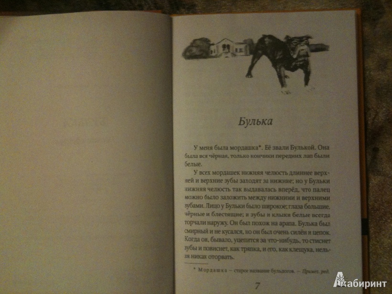 Булька читать. Л Н толстой сказка Булька. Рассказ Булька. Рассказ Булька толстой. Книга Льва Толстого Булька.