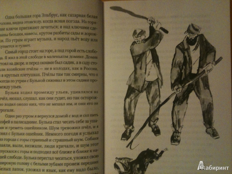 Книга толстого булька. Толстой л н сказки Булька. Лев Николаевич толстой рассказ Булька. Булька Лев Николаевич толстой книга. Рассказ о книге Булька л н толстой.