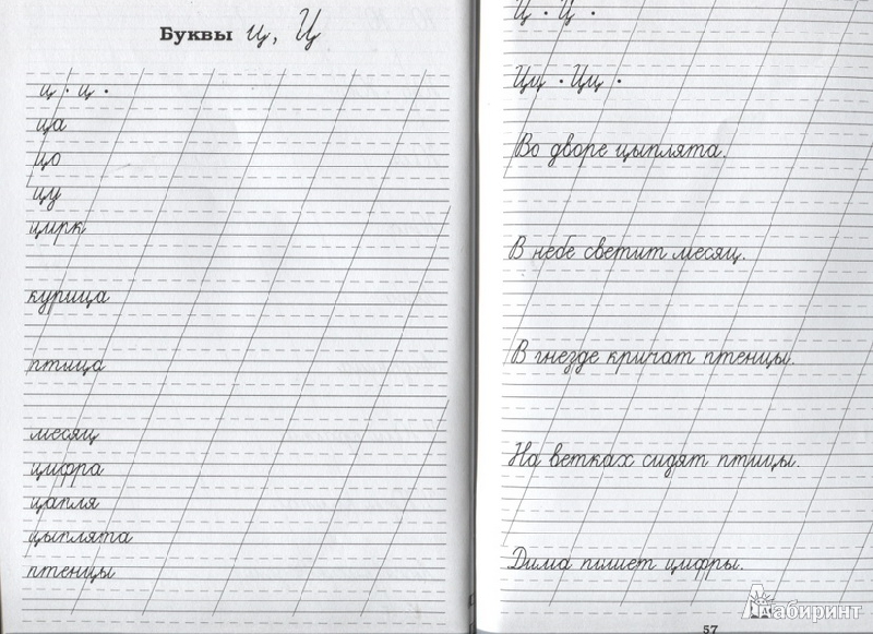 Школьные прописи. Прописи 2 класс русский язык школа России. Прописи. Русский язык. Прописи 1 класс предложения. Прописи 1 класс слова.