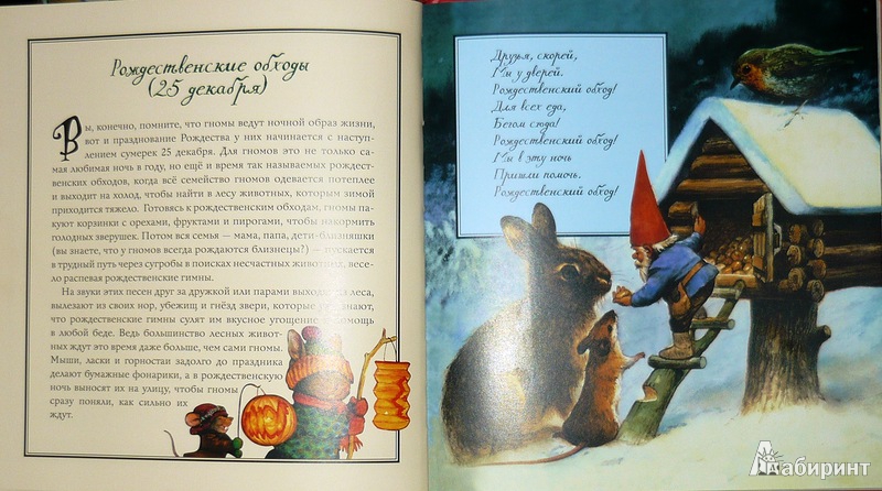 Иллюстрация 16 из 64 для Рождество гномов | Лабиринт — книги. Источник: Ромашка:-)