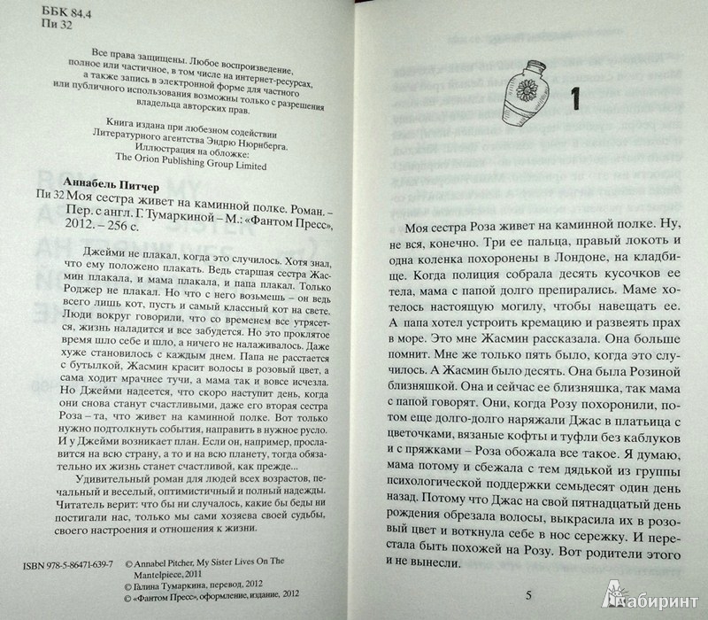 Моя сестра живет на каминной полке описание