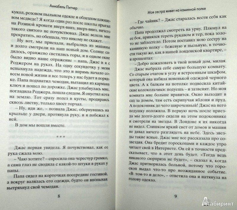 Моя сестра живет на каминной полке описание