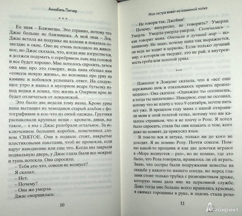 Моя сестра живет на каминной полке описание