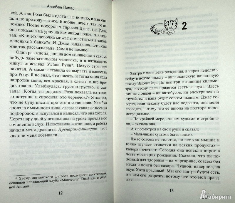 "Моя сестра живет на каминной полке" Аннабель Питчер