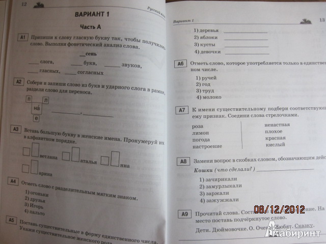 Промежуточный тест по русскому. Комплексные задания к текстам. Комплексные задания к текстам 2 класс. Комплексные задания к текстам 3 класс. Комплексные задания к тестам 2 класс.
