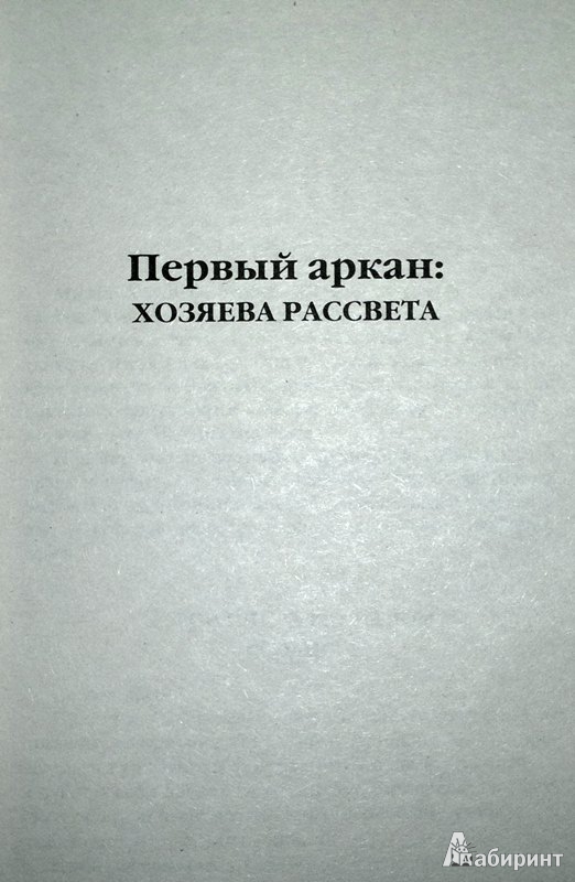 Миниатюра 5