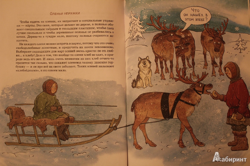 Сказка олень рога. Книги про оленей. Сказка про оленя. Сказки с оленями и о севере. Детские книги про оленей для детей.