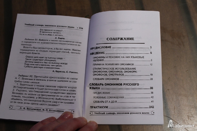 Характеристика словаря омонимов русского языка о с ахмановой м 1976 в соответствии со схемой