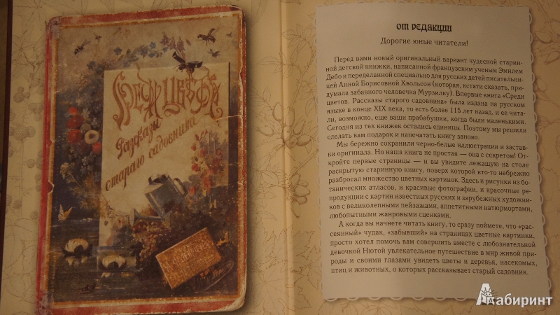 Рассказ старого садовника. Чехов рассказ садовника. Книга среди цветов. Садовник в ссылке книга. Рассказы старого сверчка Оксаны Колабской.