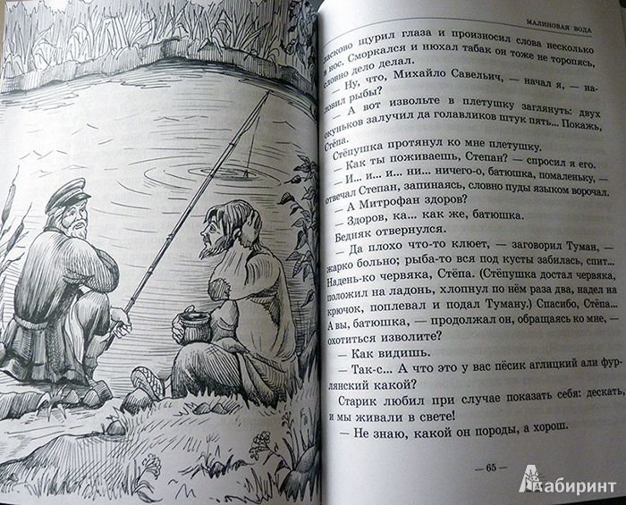 Маринка рассказ. Иллюстрация малиновая вода. Малиновая вода иллюстрации к рассказу. Иллюстрация к произведению Бежин луг. Стёпушка малиновая вода.