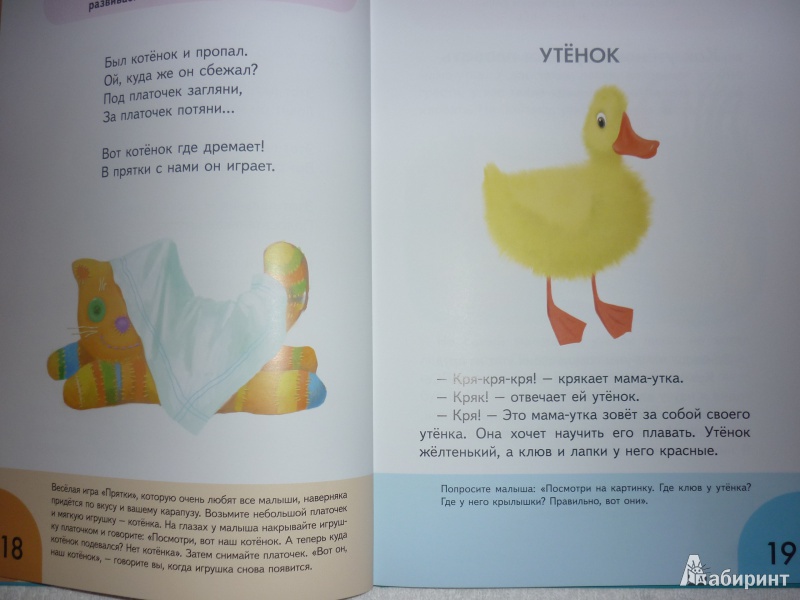 Иллюстрация № 6 к книге