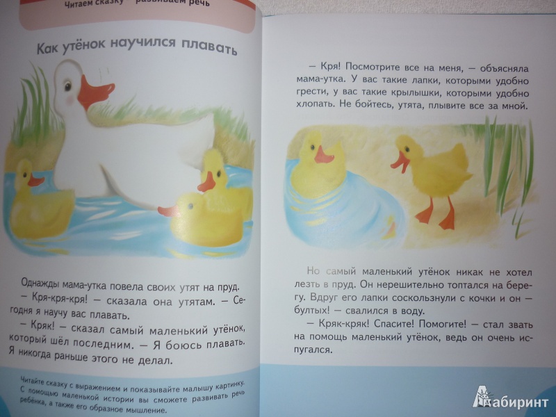 Иллюстрация № 7 к книге