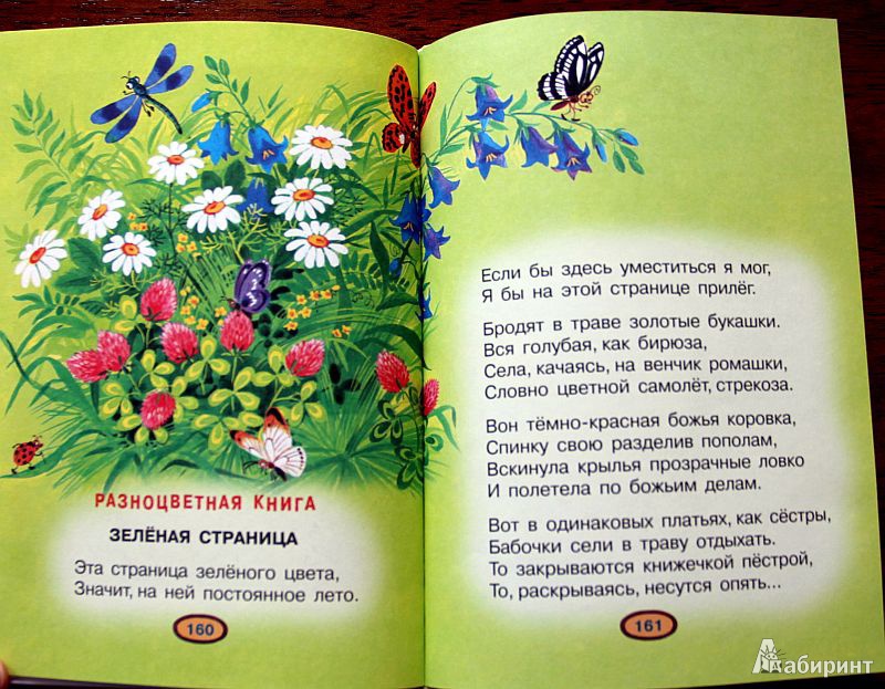 Стих про зеленый. Детские книги про цветы. Маршак с. "разноцветная книга". Лето и книга стихи для детей. Цветные стихи.