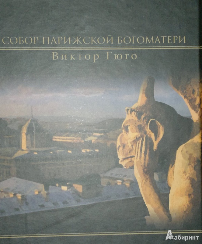 Картинки книга собор парижской богоматери