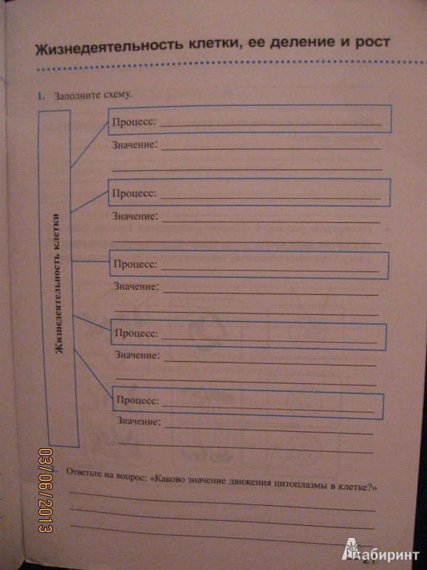 Программа фгос пасечник 5 класс