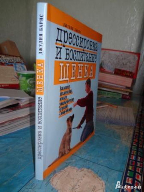 Сара уайтхед как воспитать щенка практическое руководство для детей и родителей купить