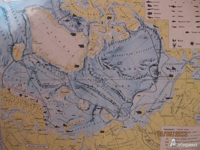 Атлас география материков и океанов 7 класс с контурными картами